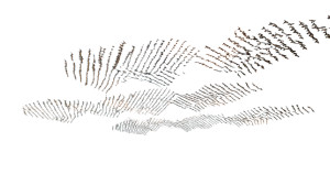 Geometric Bird Flight Vinyl Car Decal Sticker – Waterproof & UV-Resistant 8"