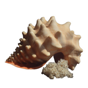 Seashell V3 Vinyl Car Decal Sticker – Waterproof & UV-Resistant 8"