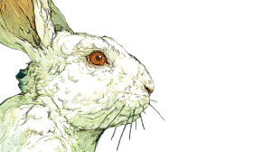 White Bunny Vinyl Car Decal Sticker – Waterproof & UV-Resistant 8"