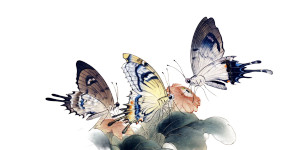 Korean Butterflies Painting Vinyl Car Decal Sticker – Waterproof & UV-Resistant 8"