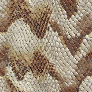 Snake Skin Vinyl Car Decal Sticker – Waterproof & UV-Resistant 8" Snake Skin Vinyl Car Decal Sticker – Waterproof & UV-Resistant 8"