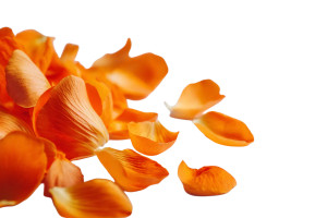 Orange Flower Petals Vinyl Car Decal Sticker – Waterproof & UV-Resistant 8"