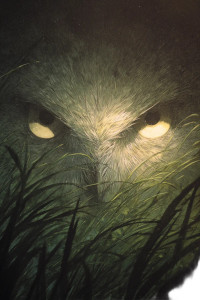 Grass Owl Creature Vinyl Car Decal Sticker – Waterproof & UV-Resistant 8"