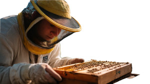 Urban Beekeeping Vinyl Car Decal Sticker – Waterproof & UV-Resistant 8"