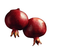 Ripe Pomegranates Vinyl Car Decal Sticker – Waterproof & UV-Resistant 8" Ripe Pomegranates Vinyl Car Decal Sticker – Waterproof & UV-Resistant 8"