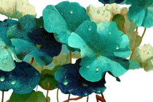 Chibi Centella Motif Vinyl Car Decal Sticker – Waterproof & UV-Resistant 8"