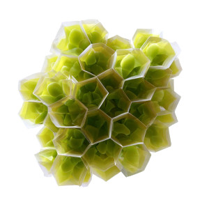 Glowing Star Coral Vinyl Car Decal Sticker – Waterproof & UV-Resistant 8"