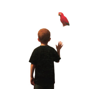 Boy And Parrot Vinyl Car Decal Sticker – Waterproof & UV-Resistant 8" Boy And Parrot Vinyl Car Decal Sticker – Waterproof & UV-Resistant 8"