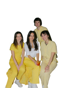 Citrus Party Scene Vinyl Car Decal Sticker – Waterproof & UV-Resistant 8"