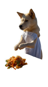 Cooking Jindo Dog Vinyl Car Decal Sticker – Waterproof & UV-Resistant 8"