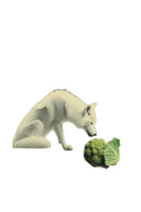 Wolf Eating Broccoli Vinyl Car Decal Sticker – Waterproof & UV-Resistant 8" Wolf Eating Broccoli Vinyl Car Decal Sticker – Waterproof & UV-Resistant 8"