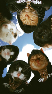 Cool Hoodie Cats V2 Vinyl Car Decal Sticker – Waterproof & UV-Resistant 8"