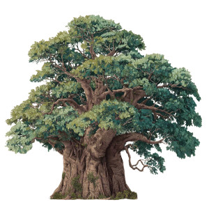 Baobab Tree V2 Vinyl Car Decal Sticker – Waterproof & UV-Resistant 8"