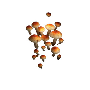 Glowing Mushroom Cluster Vinyl Car Decal Sticker – Waterproof & UV-Resistant 8"