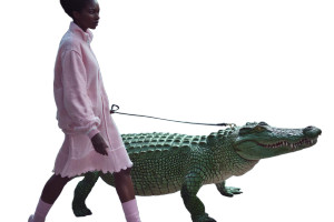 Fashion With Crocodile Vinyl Car Decal Sticker – Waterproof & UV-Resistant 8"