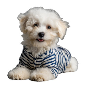 Bichon Frise Puppy V3 Vinyl Car Decal Sticker – Waterproof & UV-Resistant 8"