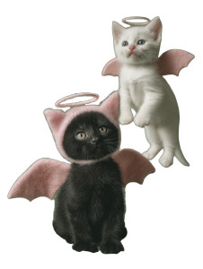 Angel Kittens Vinyl Car Decal Sticker – Waterproof & UV-Resistant 8"