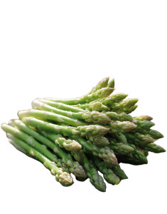 Asparagus Harvest Vinyl Car Decal Sticker – Waterproof & UV-Resistant 8"