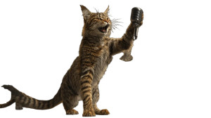 Metal Cat Band Vinyl Car Decal Sticker – Waterproof & UV-Resistant 8"