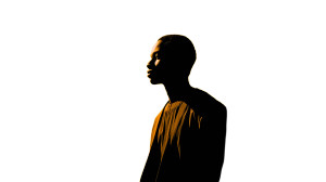 Silhouette Collage V2 Vinyl Car Decal Sticker – Waterproof & UV-Resistant 8"