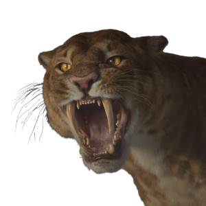 Saber-Tooth Cat Snarl Vinyl Car Decal Sticker – Waterproof & UV-Resistant 8"