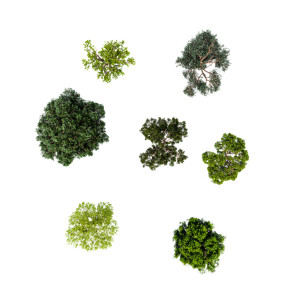 Aerial View Trees Vinyl Car Decal Sticker – Waterproof & UV-Resistant 8"