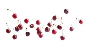 Floating Cherries Vinyl Car Decal Sticker – Waterproof & UV-Resistant 8"