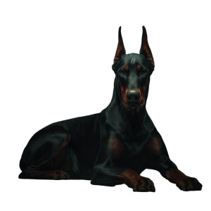 Calm Doberman Dog Vinyl Car Decal Sticker – Waterproof & UV-Resistant 8"
