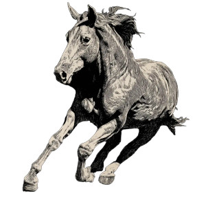 Running Horse V5 Vinyl Car Decal Sticker – Waterproof & UV-Resistant 8" Running Horse V5 Vinyl Car Decal Sticker – Waterproof & UV-Resistant 8"