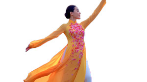 Vietnamese Dance Mv Vinyl Car Decal Sticker – Waterproof & UV-Resistant 8"