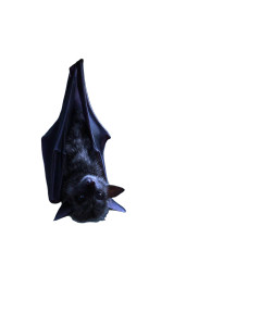 Gothic Bat Moonlight Vinyl Car Decal Sticker – Waterproof & UV-Resistant 8"