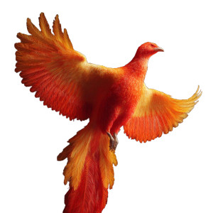 Phoenix Illustration V3 Vinyl Car Decal Sticker – Waterproof & UV-Resistant 8"