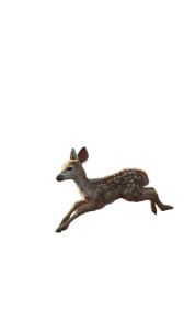 Baby Fawn Galloping Vinyl Car Decal Sticker – Waterproof & UV-Resistant 8" Baby Fawn Galloping Vinyl Car Decal Sticker – Waterproof & UV-Resistant 8"