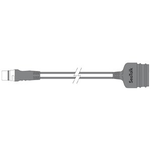 Seamlessly Connect SeaTalk Devices | Enhance SeaTalk Network with Raymarine Adapter Seamlessly Connect SeaTalk Devices | Enhance SeaTalk Network with Raymarine Adapter