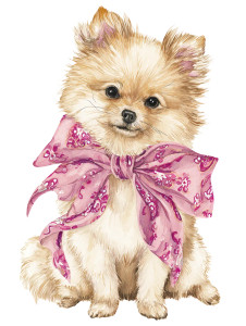 Cute Pomeranian Clipart V2 Vinyl Car Decal Sticker – Waterproof & UV-Resistant 8"