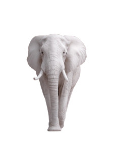 Albino Elephant Charge Vinyl Car Decal Sticker – Waterproof & UV-Resistant 8"