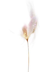 Golden Seed Bloom V3 Vinyl Car Decal Sticker – Waterproof & UV-Resistant 8"