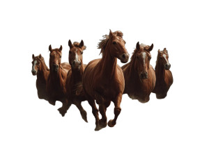 Flying Horses Vinyl Car Decal Sticker – Waterproof & UV-Resistant 8" Flying Horses Vinyl Car Decal Sticker – Waterproof & UV-Resistant 8"