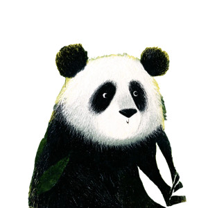 Panda V5 Vinyl Car Decal Sticker – Waterproof & UV-Resistant 8"