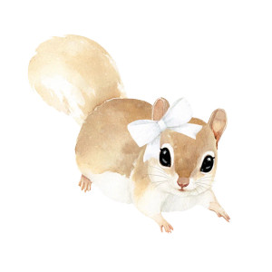 Cute Flying Squirrel Vinyl Car Decal Sticker – Waterproof & UV-Resistant 8"