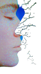 Crushed Faces Vinyl Car Decal Sticker – Waterproof & UV-Resistant 8"