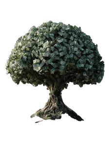 Money Tree Vinyl Car Decal Sticker – Waterproof & UV-Resistant 8"