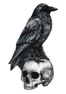Black Raven Skull Vinyl Car Decal Sticker – Waterproof & UV-Resistant 8"