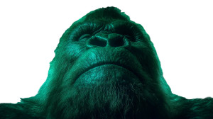 Massive Bigfoot Close-Up Vinyl Car Decal Sticker – Waterproof & UV-Resistant 8" Massive Bigfoot Close-Up Vinyl Car Decal Sticker – Waterproof & UV-Resistant 8"