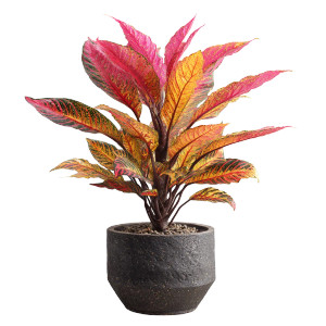 Exotic Plant Vinyl Car Decal Sticker – Waterproof & UV-Resistant 8"