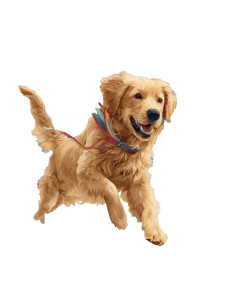 Joyful Golden Retriever V7 Vinyl Car Decal Sticker – Waterproof & UV-Resistant 8"