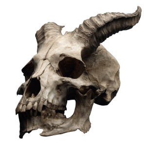 Broken Demon Skull Vinyl Car Decal Sticker – Waterproof & UV-Resistant 8"