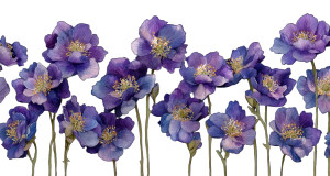 Violet Flowers Line Vinyl Car Decal Sticker – Waterproof & UV-Resistant 8"