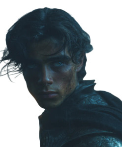 Silver Armored Warrior V2 Vinyl Car Decal Sticker – Waterproof & UV-Resistant 8"