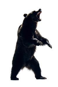 Ferocious Roaring Bear Vinyl Car Decal Sticker – Waterproof & UV-Resistant 8"